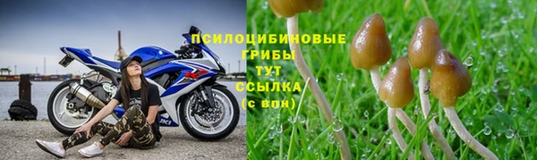 тгк Алексеевка
