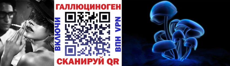 Псилоцибиновые грибы Cubensis  площадка формула  Новая Ладога 